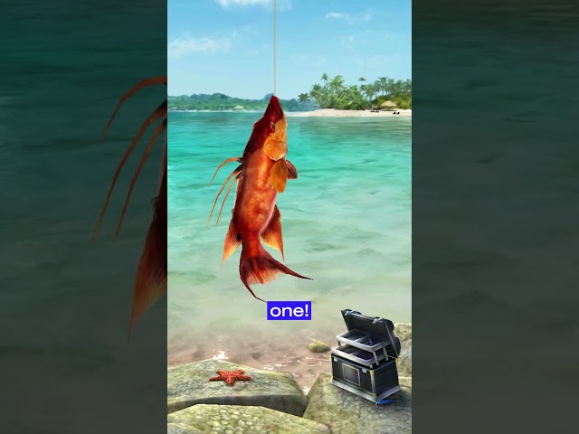 NEW SPONSORSHIP: FISHING CLASH #fishinggames