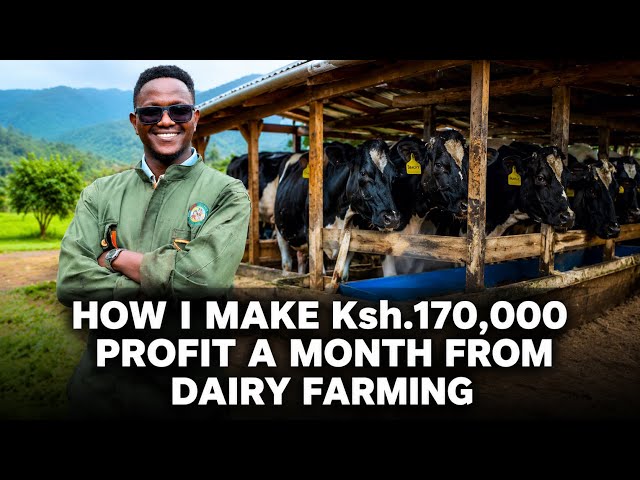 After Failing to Get a Job,This 32 yr old Man Turned to Dairy Farming &Now Makes 170K Profit a Month