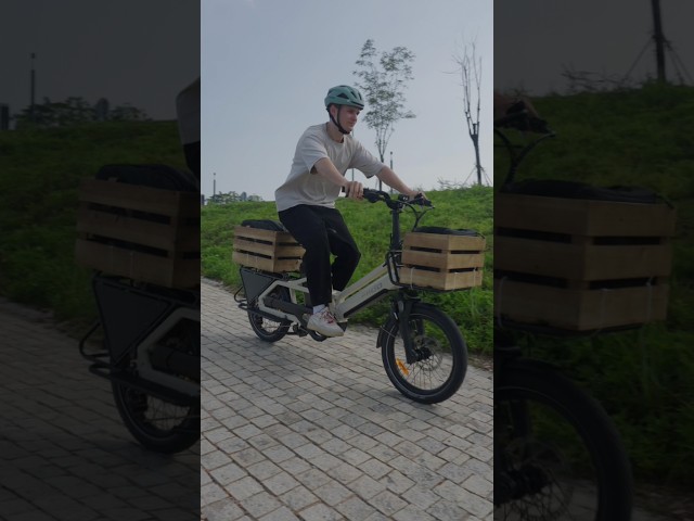 The Ultimate Brake Test 👀  #Fiido #cargo #FiidoT3Max #BrakesTest