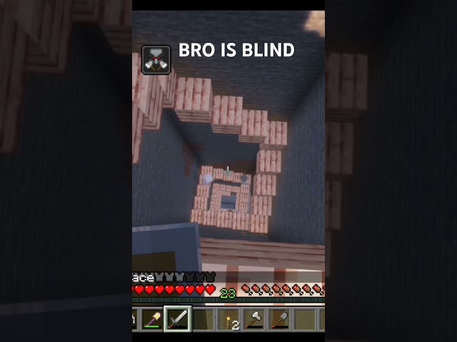 BRO IS BLIND #minecraft #gaming #funny #minecraftgaming
