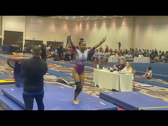 Gymnastics Vault - Level 5, Level 8 and Level 9