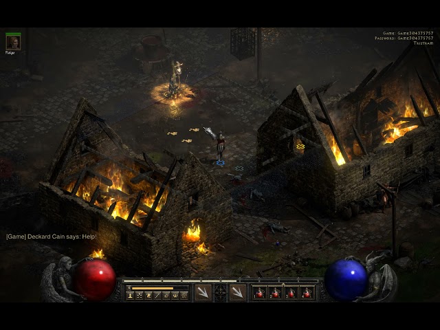 Diablo II Resurrected - Amazon- Tristram