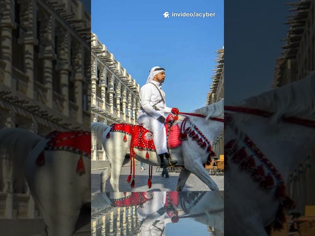 Part 2- Qatar Cybersecurity Strategy: Pillar 1 Explained in Arabicالوطنية للأمن السيبراني لدولة قطر