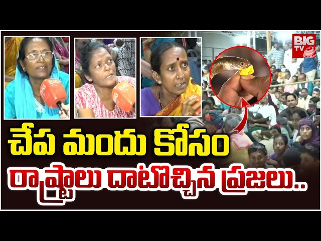 Fish Prasadam Distribution Begins in Hyderabad | Thousands Gather at Nampally | BIG TV Telugu
