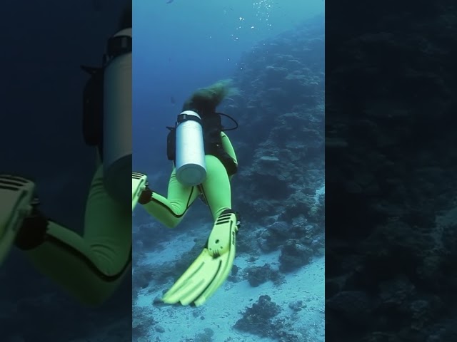 5 Headed Shark Attack #shorts #viral #viralvideos #foryou