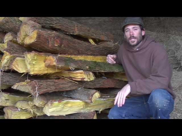 Osage: Harvesting & Splitting