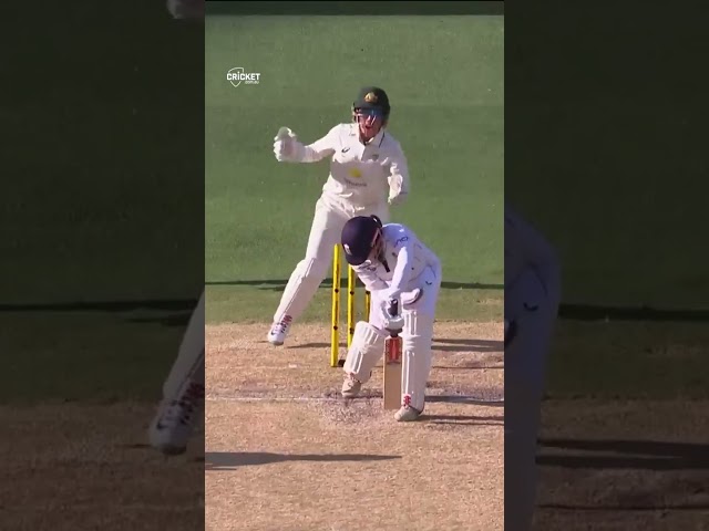 Shane Warne? No, Alana King! 👑
