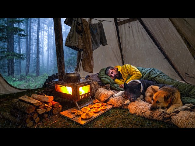 Caught in Rainstorm With My Dog! - Hot Tent Camping in Heavy Rain. Bushcraft Survival