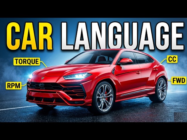 This is All You Need to Know About Cars