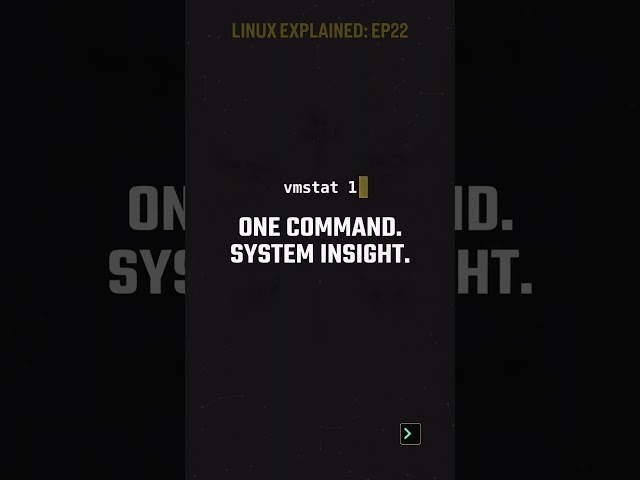 Linux System Feels Slow? Use vmstat! 🐧