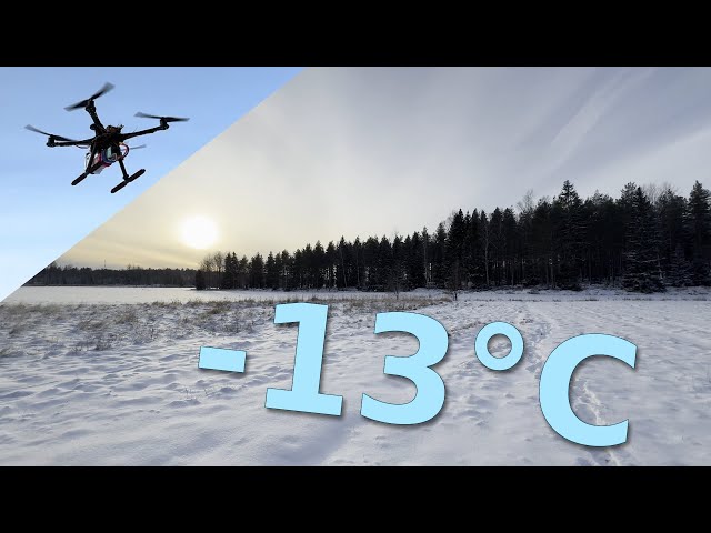 Low-altitude VIO flight in freezing winter conditions