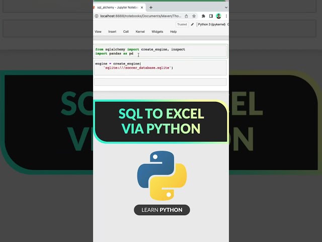 SQL to Excel via Python! #data