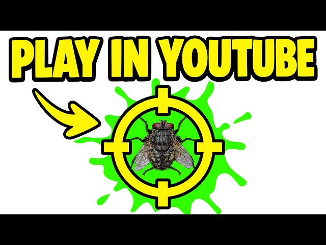 Can You SPLAT the Fly in This PLAYABLE Video?