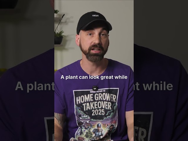 Healthy-Looking Plants Can Still Disappoint