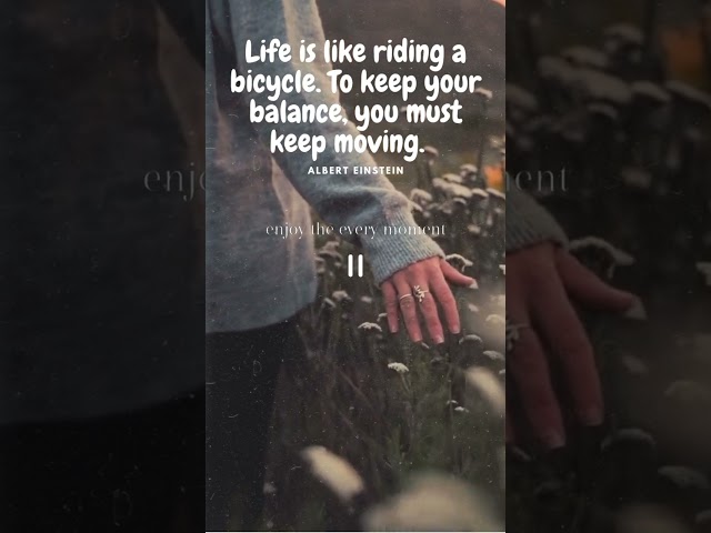 Enjoy the every moment....