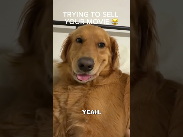 Exuse Me Sir, Have You Heard About My Movie?