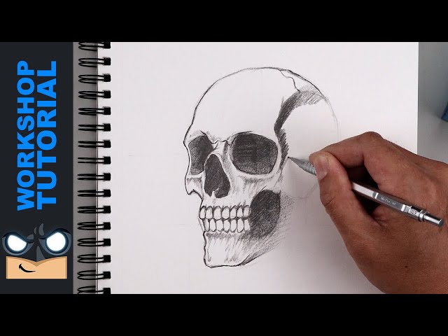 How to Draw the Human Skull | Members-Only Sketch Workshop