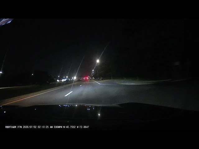 |Keep Your Dogs Safe| Driver POV