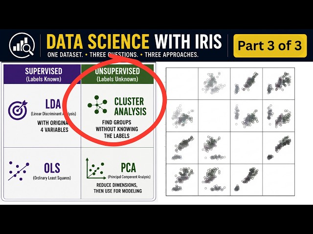 Data Science for Beginners: CLUSTER ANALYSIS on the Iris Dataset