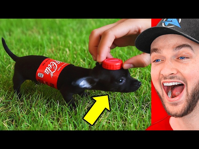 World’s FUNNIEST YouTube Shorts!