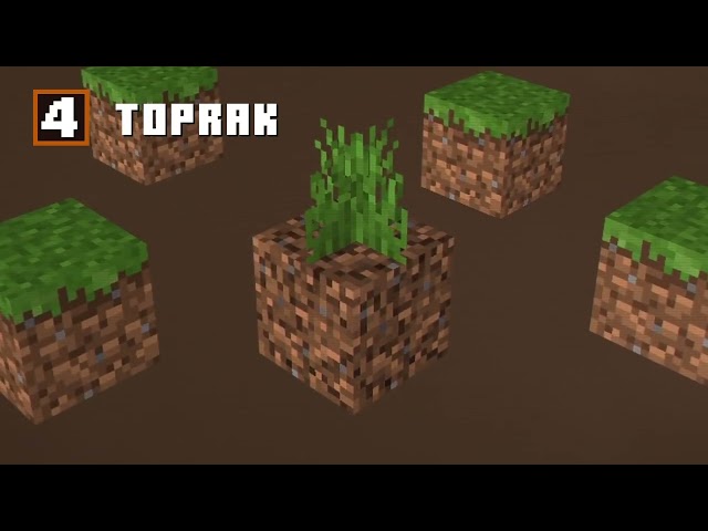 UNKNOWN FACTS ABOUT THE HISTORY OF BLOCKS