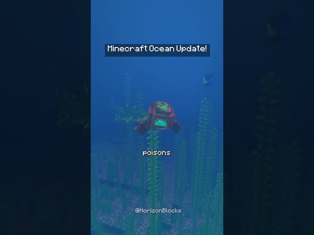 Minecraft Ocean Update?!