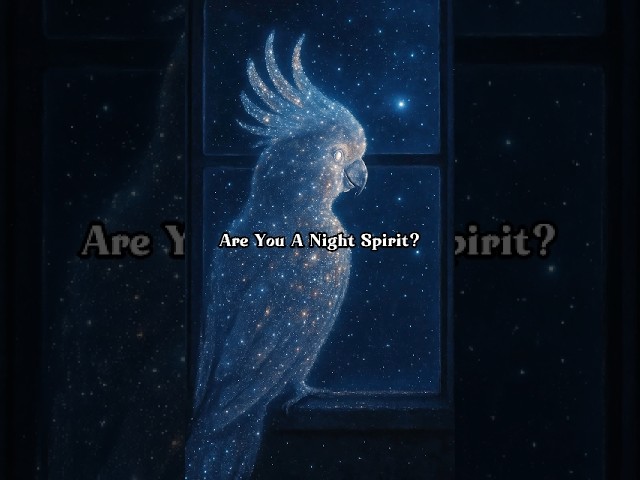 Are You A Night Spirit? 🌌🌃 #chillout #psybient #psychill #relaxingmusic #spacemusic