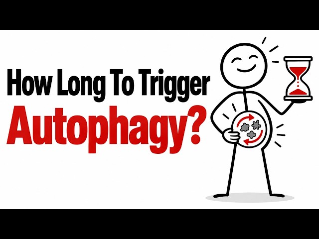 HOW LONG COULD YOU FAST BEFORE TRIGGERING AUTOPHAGY SCIENCE EXPLAINED