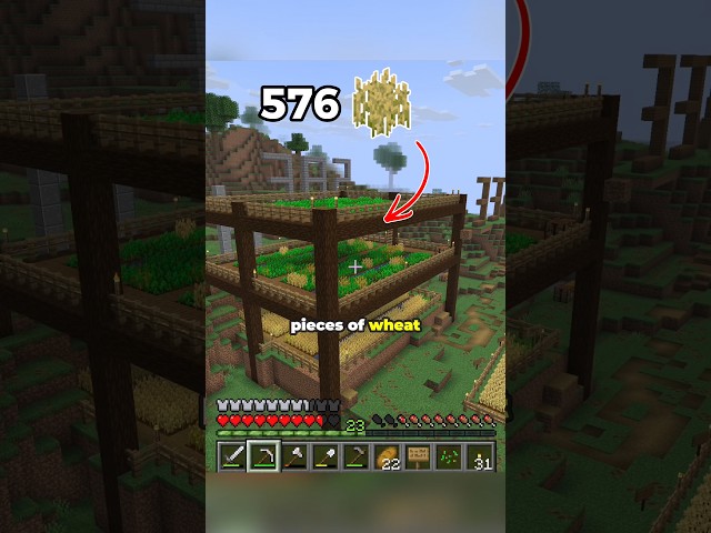 576 pieces of wheat for 576 subscribers #minecraft