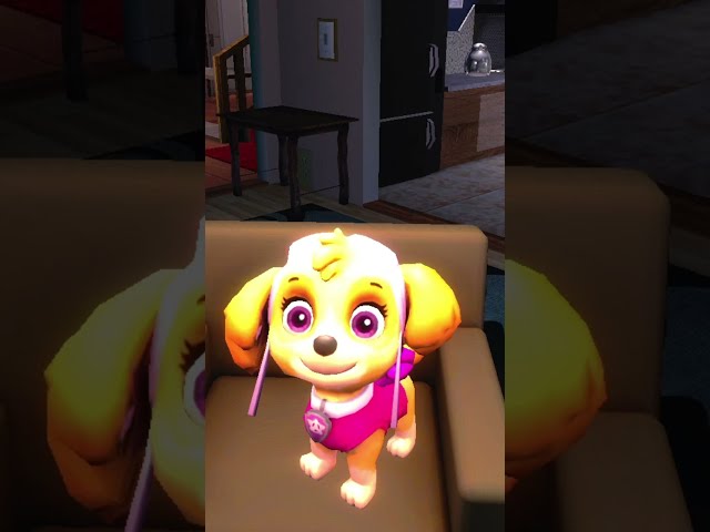 PAWS Mod Skye gets Catfished