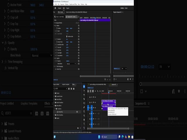 Mirror effect tutorial Adobe premiere pro #edit #cinematicediting #Mirror