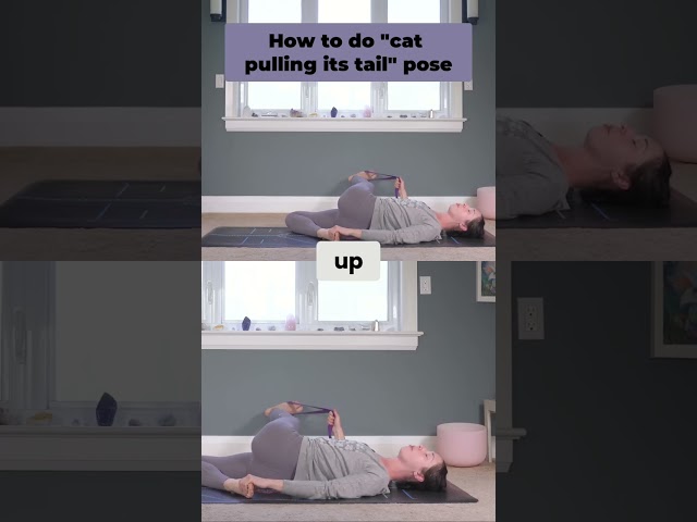 Cat Pulling Its Tail TUTORIAL - Deep Twist