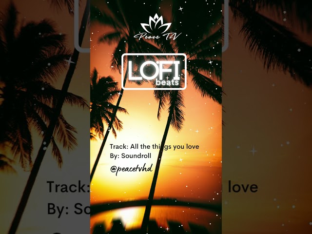 📚 LO-FI STUDY BEATS #lofibeats #lofihiphop