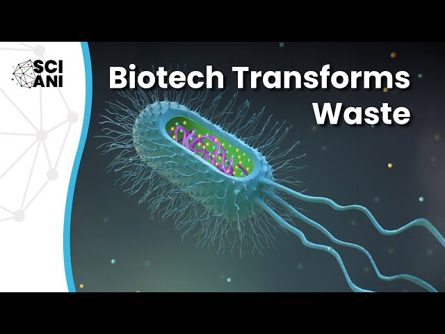 Is advanced biorefinery of waste the key to sustainability?