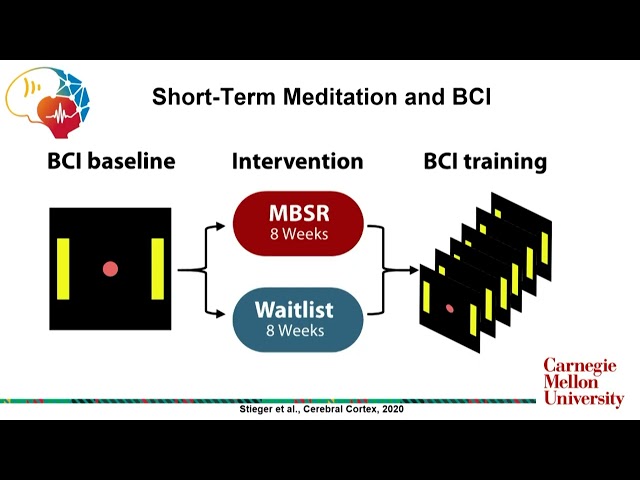 Accelerating Human Neuroscience Innovation Domain