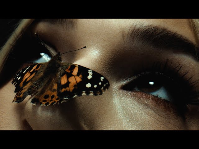 Bad Omens x Poppy - V.A.N (Official Music Video)