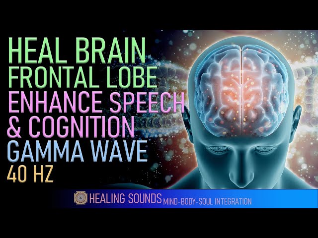 Heal Brain Frontal Lobe | Enhance Your Speech Reasoning & Problem Solving Skills | Gamma Wave | 40HZ