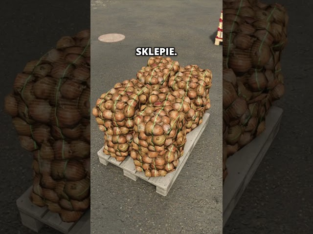 Pallets in FS25
