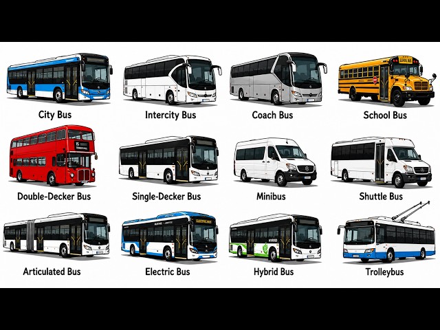 Every Type of Bus Explained in 10 Minutes