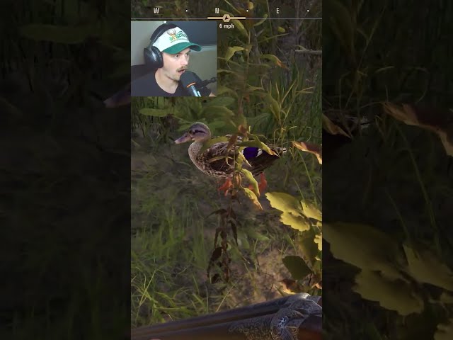 Waterfowl Hunting in Way of the Hunter 2 is a BLAST!