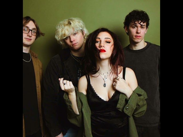 Interview With Bassist Virginia Franks
