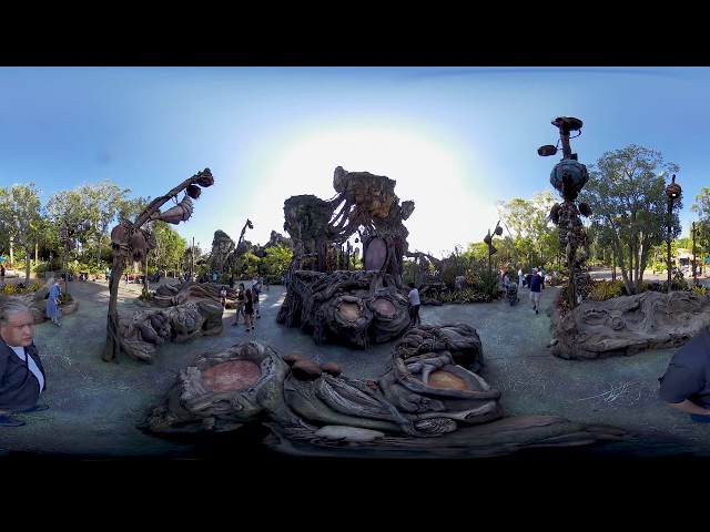 Pandora - The World of Avatar at Animal Kingdom Daytime Tour in 4K / 6K / 360 / VR #visitpandora