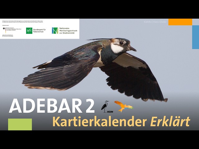 ADEBAR Mapping Calendar Explained