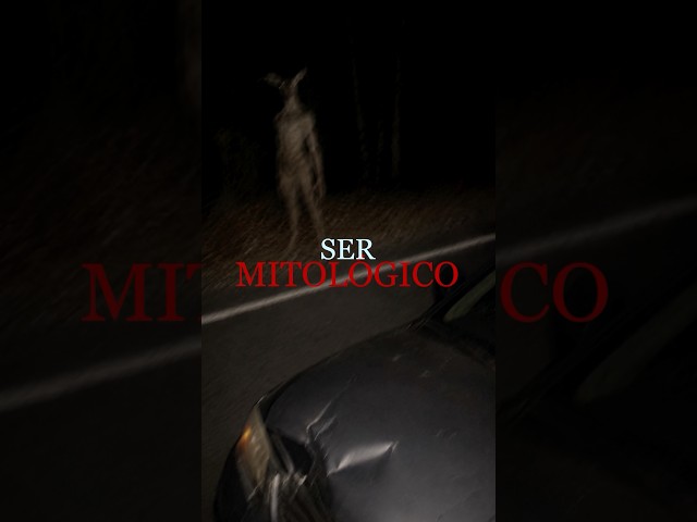 He hit a deer in the Appalachian Mountains… and discovered it wasn't an animal. | Chapter 412