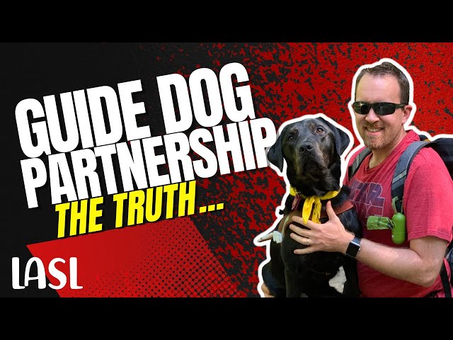 The Truth About the Guide Dog Partnership ￼| Life After Sight Loss