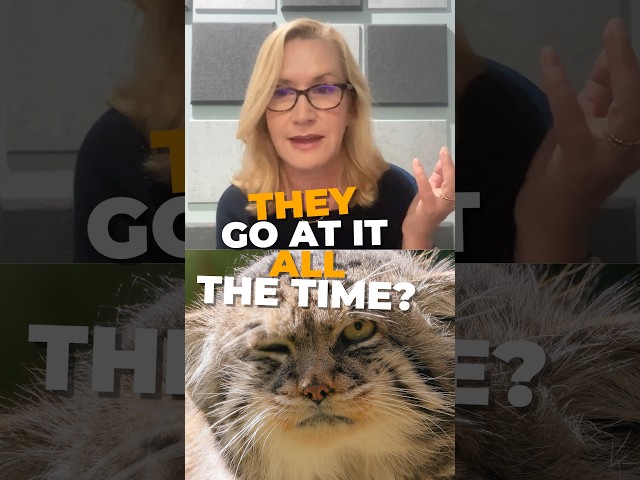 Angela Kinsey played a cat-loving accountant, making her the perfect expert to tell us about #grumps