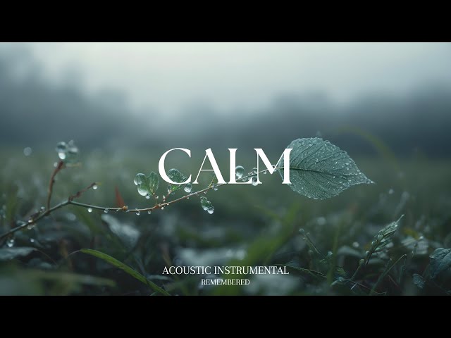 Relaxing Guitar for Stress Relief, work and study | REMEMBERED