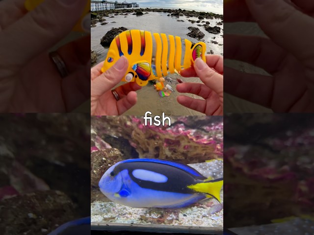 Learn Sea Animal Names for Babies Kids at the Rock Pool: Whale Orca Penguin Seal Fish