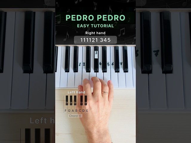 Pedro Pedro - Easy Tutorial 🎹 #pianotutorial #piano #pedropedro #pianocover