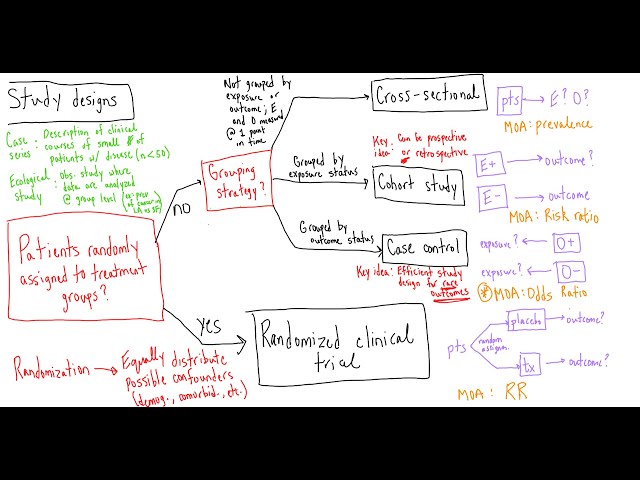 Study Design: Lecture